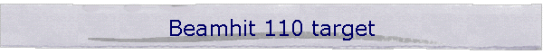 Beamhit 110 target
