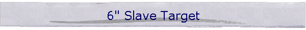 6" Slave Target