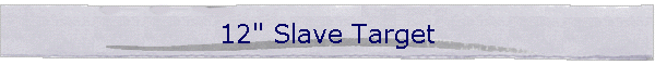 12" Slave Target