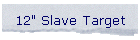 12" Slave Target